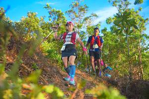 BIB: 2009
                            <button type="button" onclick="openModal(21841545)" class="btn btn-primary btn-sm float-right btn-popup" data-toggle="modal" data-target=".modal-high-quality">
                        <i class="fas fa-shopping-cart"></i> Add to Cart
                    </button>
                                            <button type="button" onclick="isThisMe(21841545, true)" class="btn btn-success btn-sm float-right btn-popup btn-isme hidden" data-toggle="tooltip" data-placement="bottom" title="นี่คือรูปของคุณใช่ไหม คลิกที่นี่เพื่อเอาเข้าอัลบั้ม">
                        <i class="fas fa-plus"></i> Add to album
                    </button>
                    <button type="button" onclick="isThisMe(21841545, false)" class="btn btn-warning btn-sm float-right btn-popup btn-isnotme hidden">
                        <i class="fas fa-ban"></i> Remove from album
                    </button>